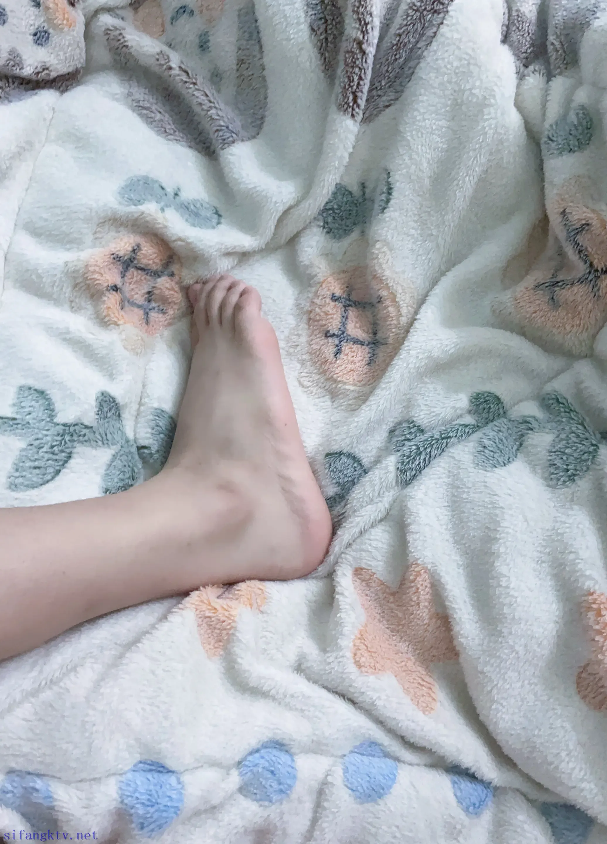 女主播的白嫩脚脚 女主播的白嫩脚脚