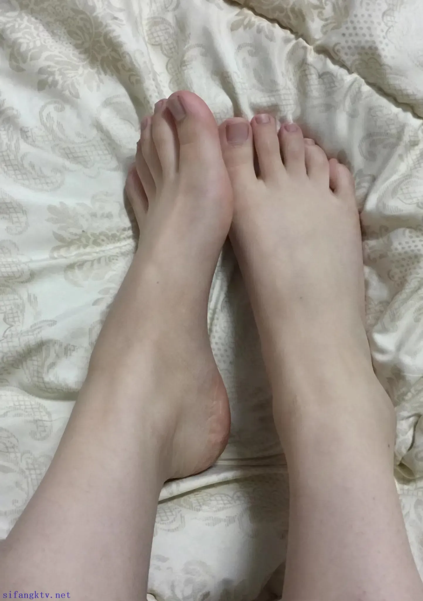 纯和欲完美融合的女高 纯和欲完美融合的女高