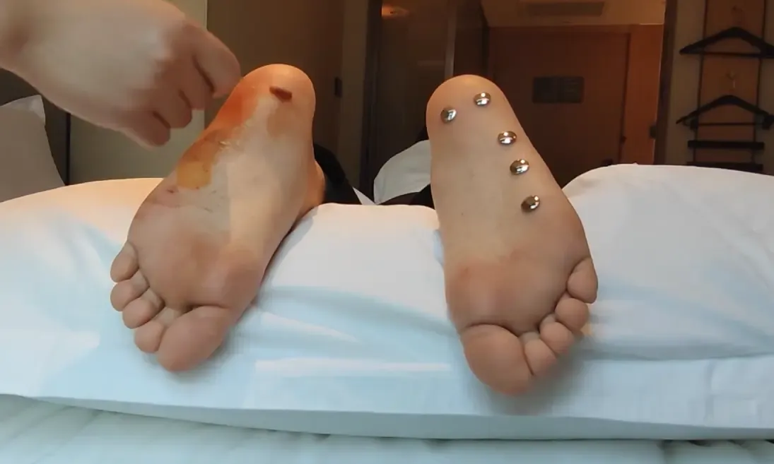 蝴蝶打脚图钉 蝴蝶打脚图钉