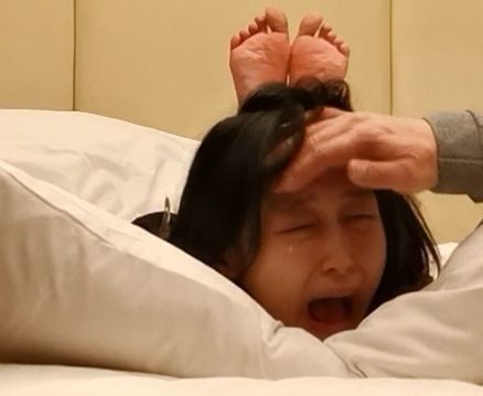 李启丹新闻 李启丹新闻